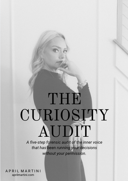 The Curiosity Audit — free PDF cover